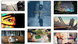 WordPress-Gallery-single-line-2