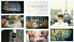 WordPress-Gallery-spin-2